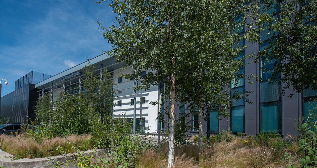 Example of Hive's photography with an image of blue skies above a school building